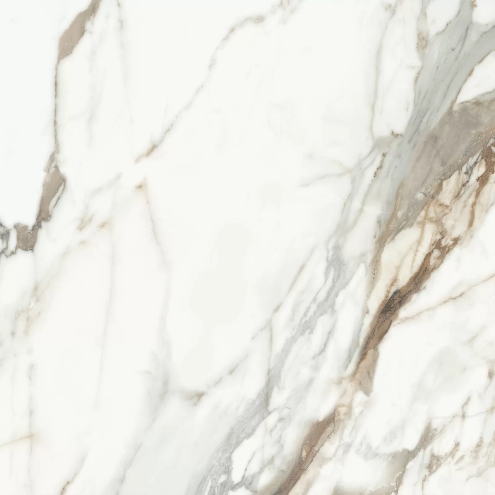 Керамогранит Calacatta Premium D60209M 60х60 Delacora