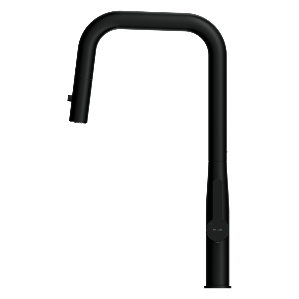 Смеситель для кухни OLIVA с п-образным выдвижным изливом шланг черный