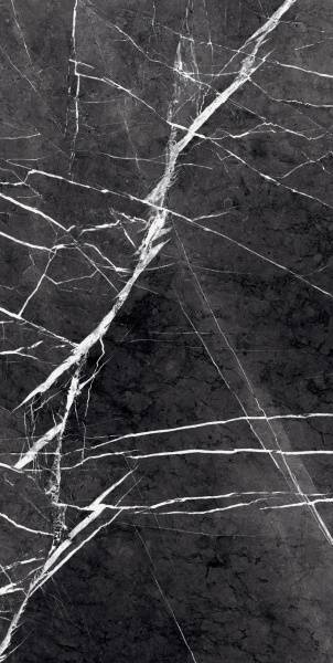 Керамогранит Primavera Fedele Negro 60x120 см (GR203)