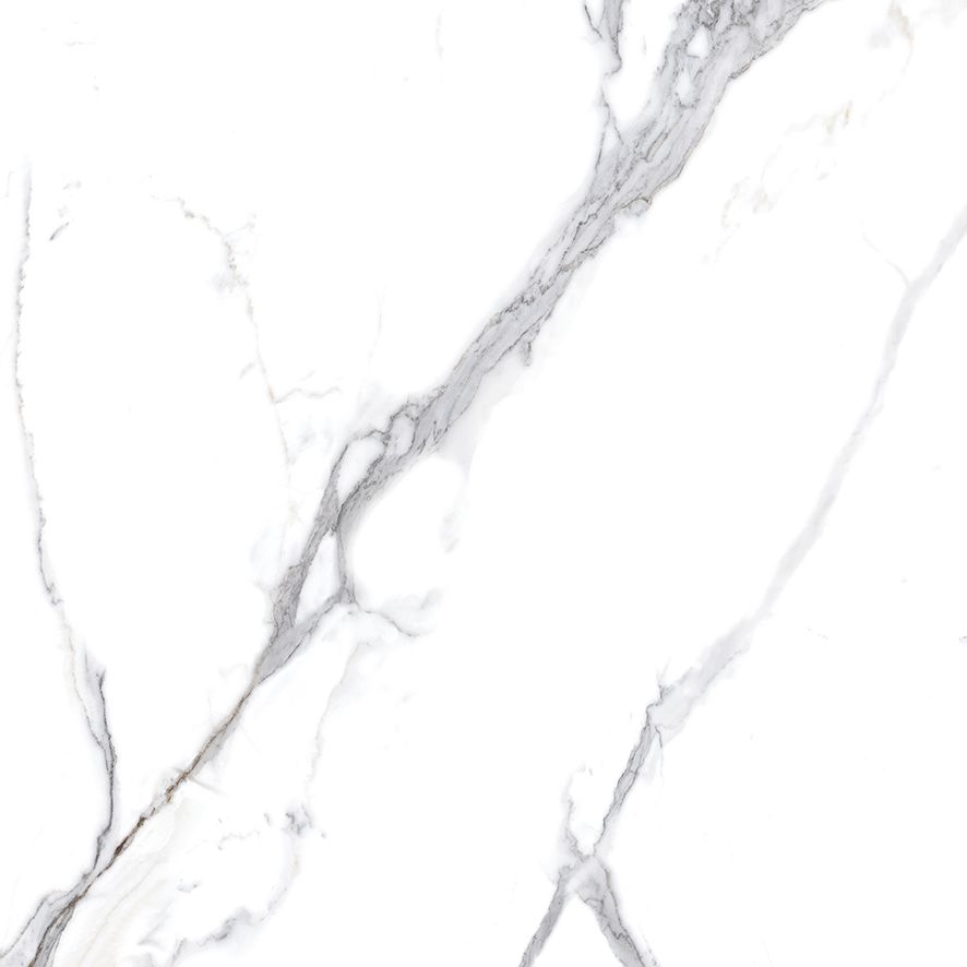 Calacatta Splendid Silver Керамогранит белый 60х60 Полированный