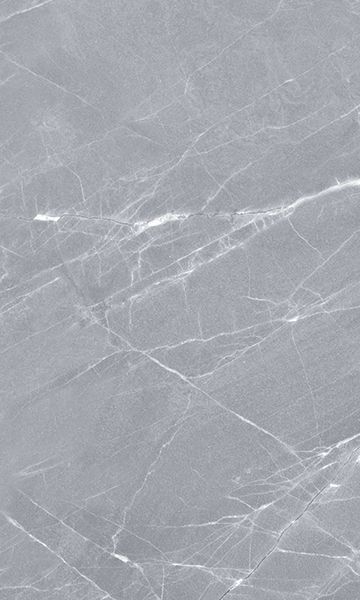 Elegance grey wall 02