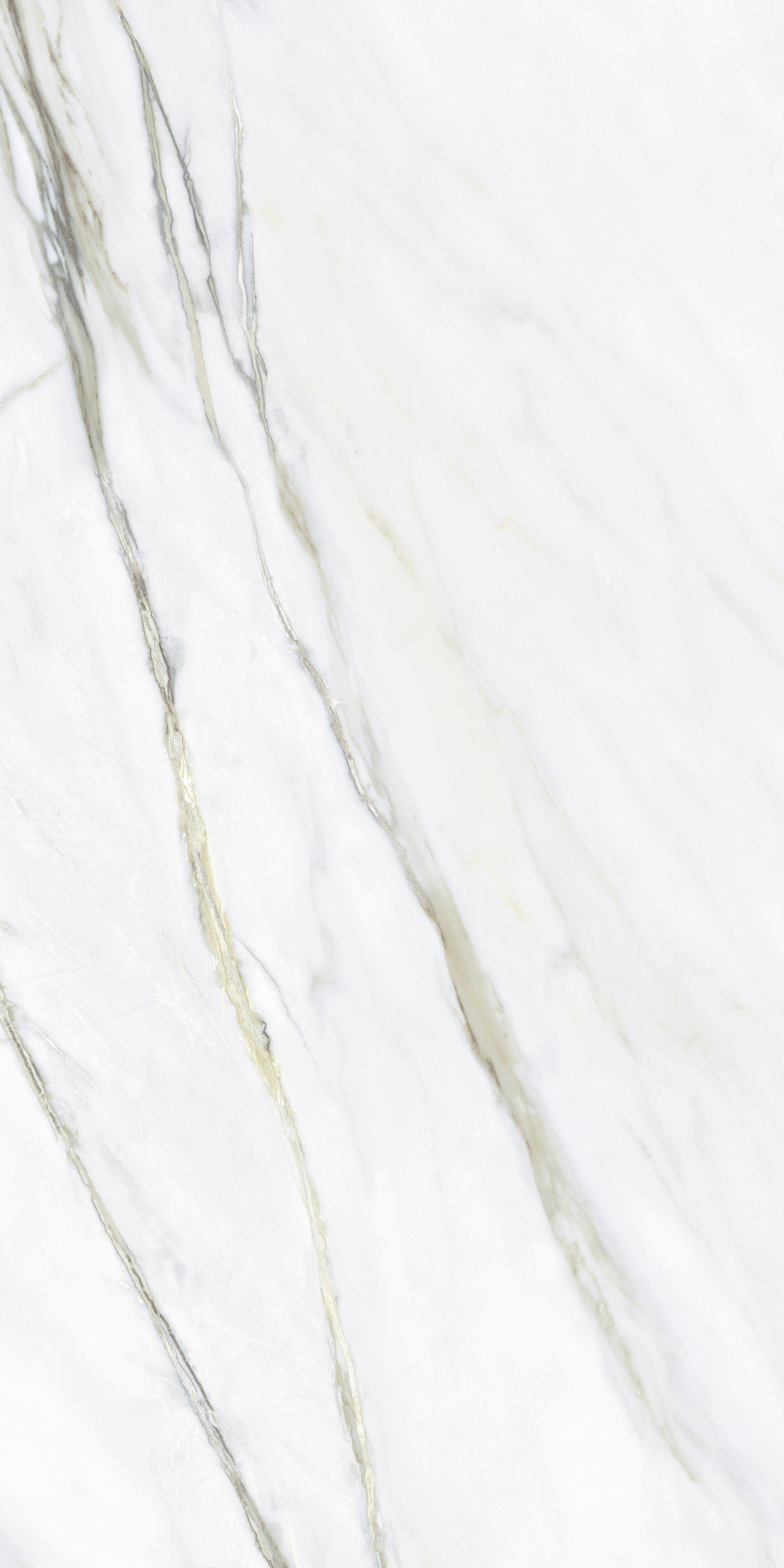 Керамогранит NTT9405DDG Lavarsaz Sitri 60x120