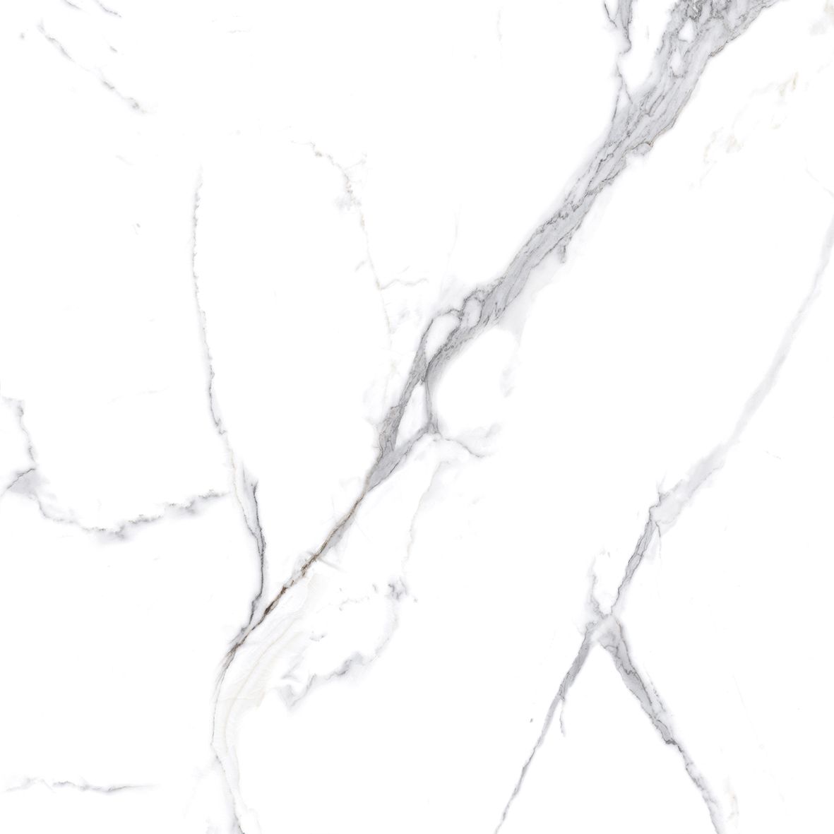 Calacatta Splendid Silver Керамогранит белый 80х80 Полированный