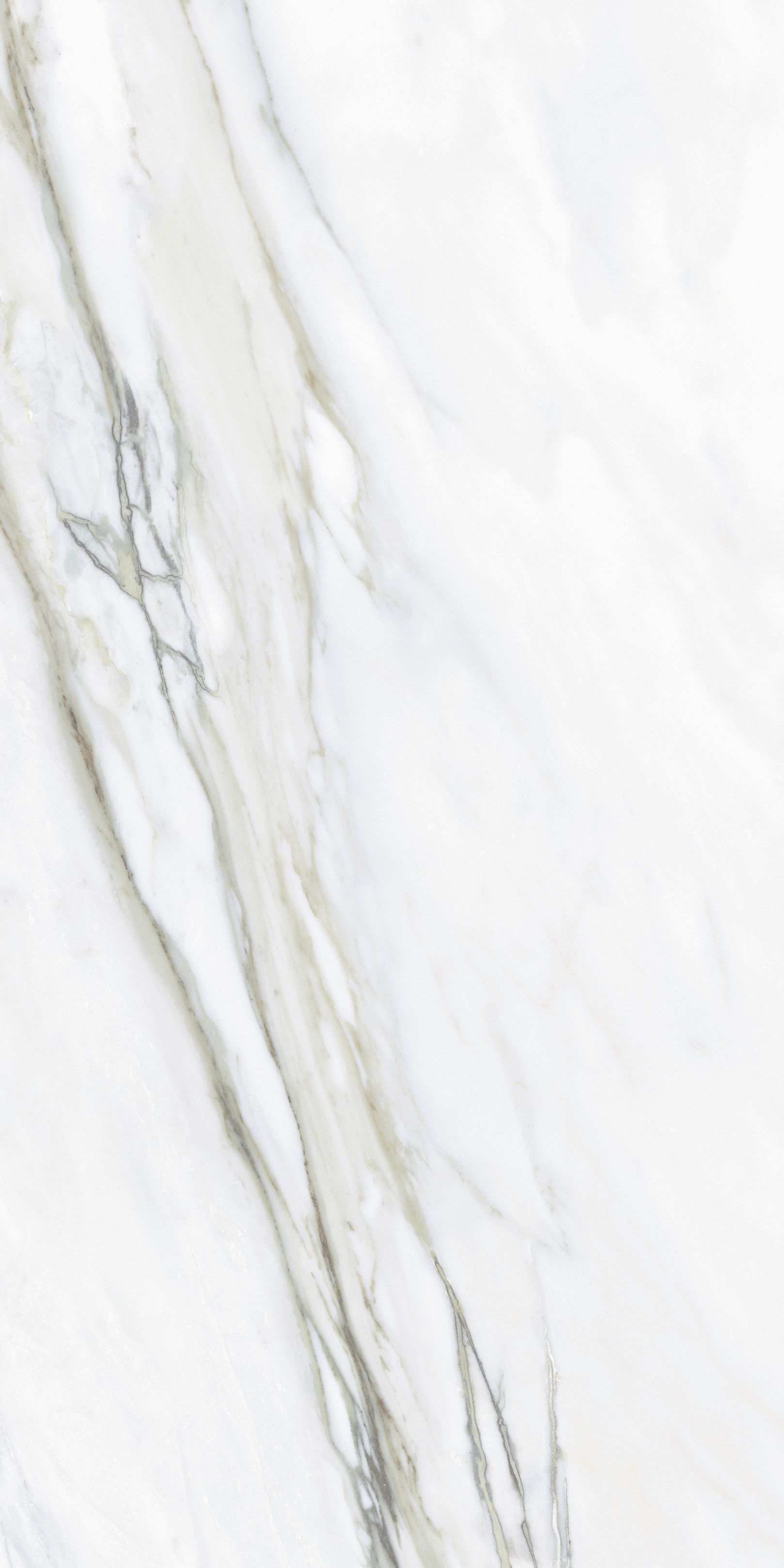 Керамогранит NTT9405DDG Lavarsaz Sitri 60x120