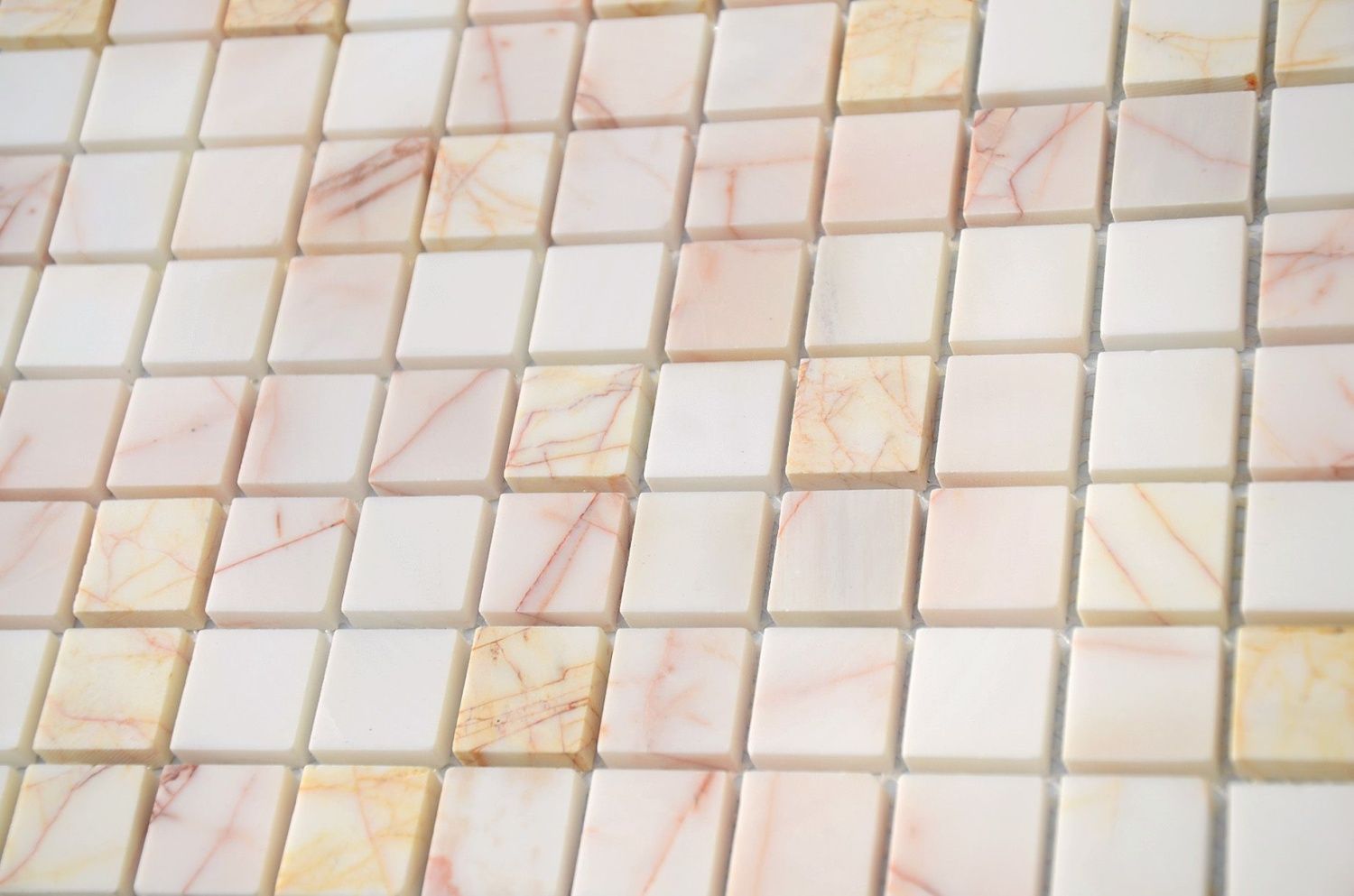 Ragno rosso POL 23x23x7