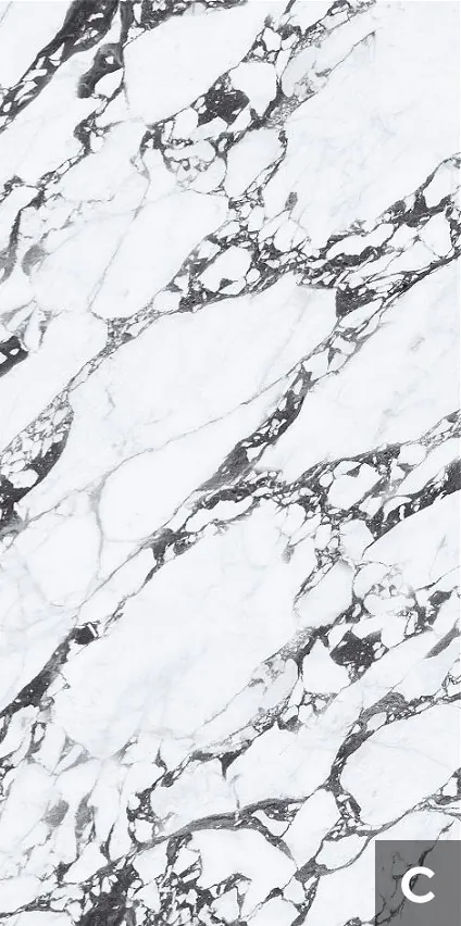 Керамогранит NTT3013P (C) Tantai Jin Demon 120x240