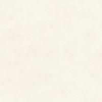 GFU04BLN04R плитка напольная керамогранитная Berlin 600*600*9