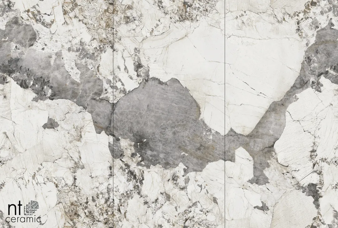 Керамогранит NTT3012P Calacatta Black 120x240