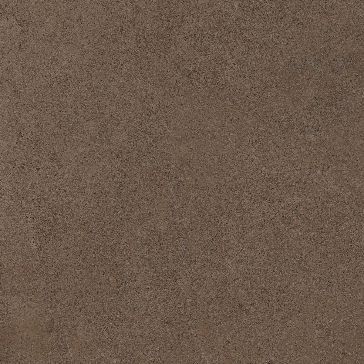 Керамогранит Gobi GO 03 60x60x1 неполированный Коричневый (Estima)