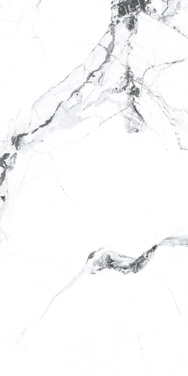 PR222 Керамогранит Videl Bianco 60*120см polished 1,44м2