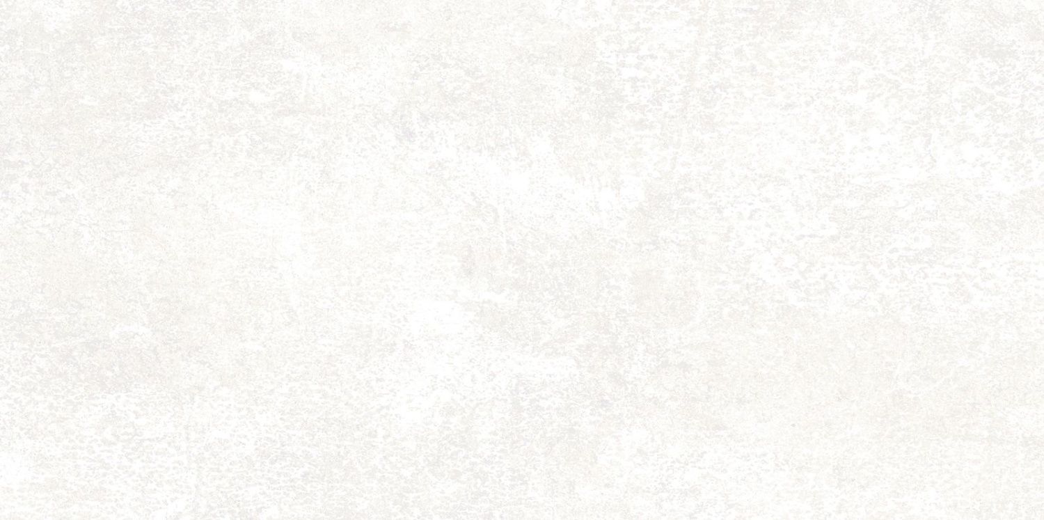 TWU09PMT004 плитка облицовочная Piemonte 249*500*7,5