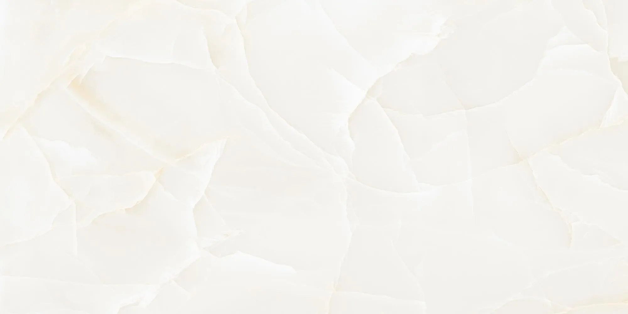 Керамогранит NTT99504P Onyx Predo 60x120