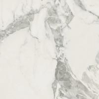 Керамогранит Michelangelo Cold 60x60 натуральный Coliseum