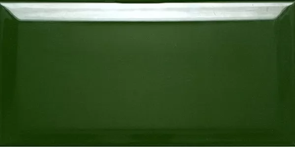 Плитка Biselado Botella Brillo 10х20