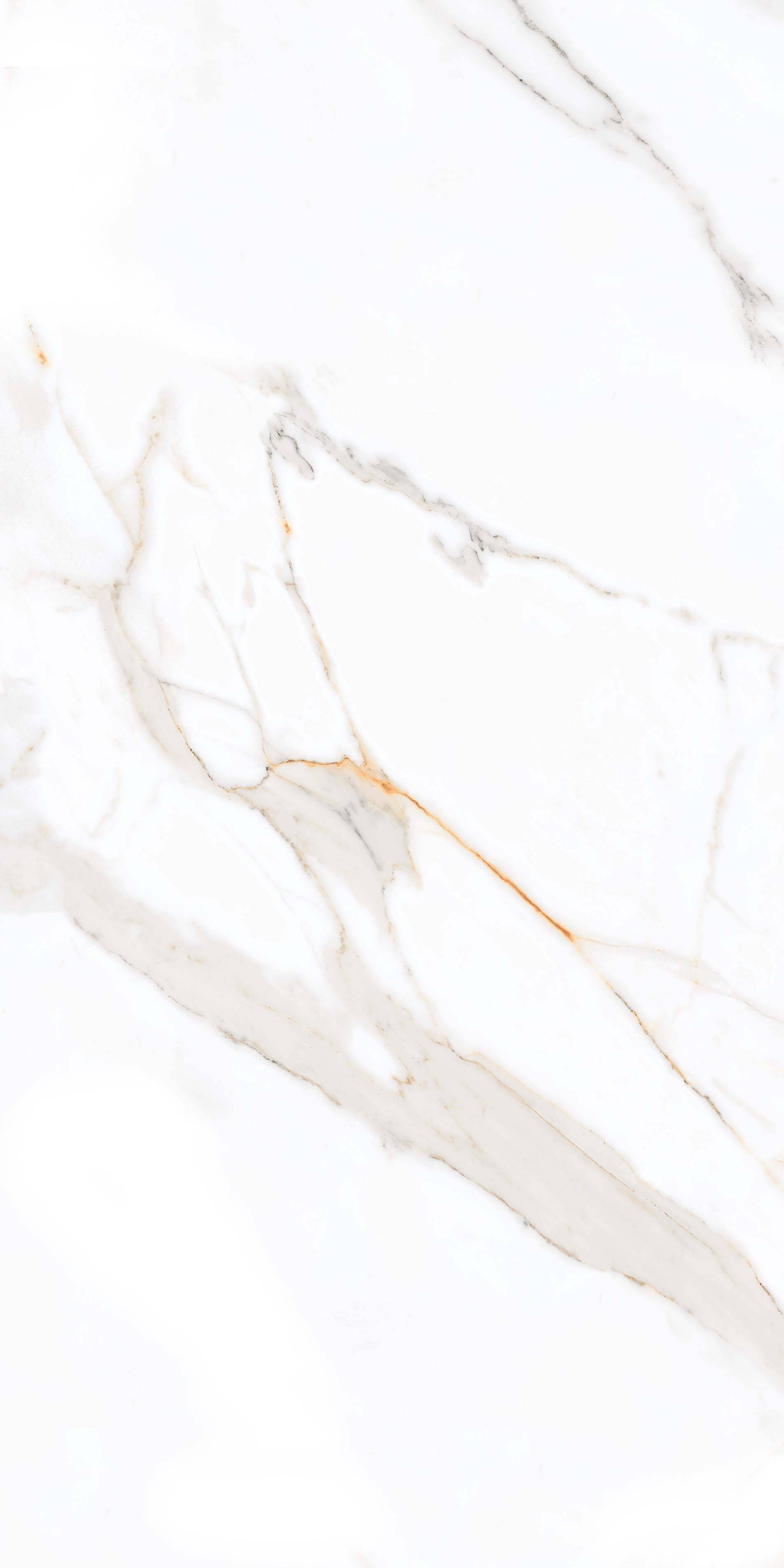 Керамогранит Primavera Regal Carara 60x120 см (PR203)