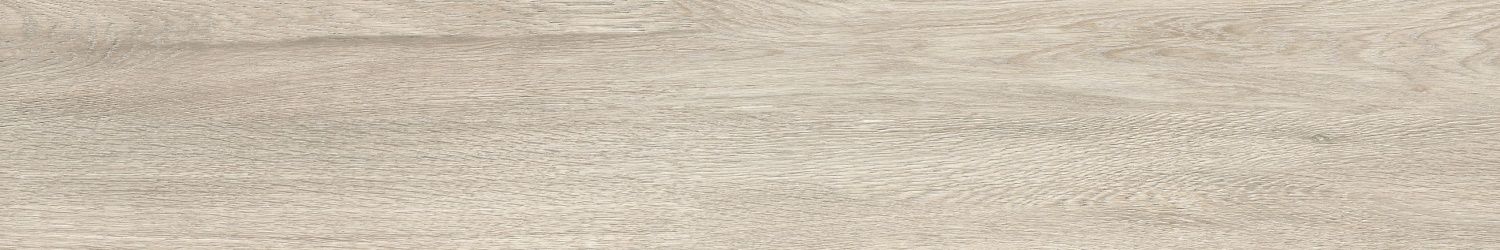 Nature Beige MAT 120x20 E12N