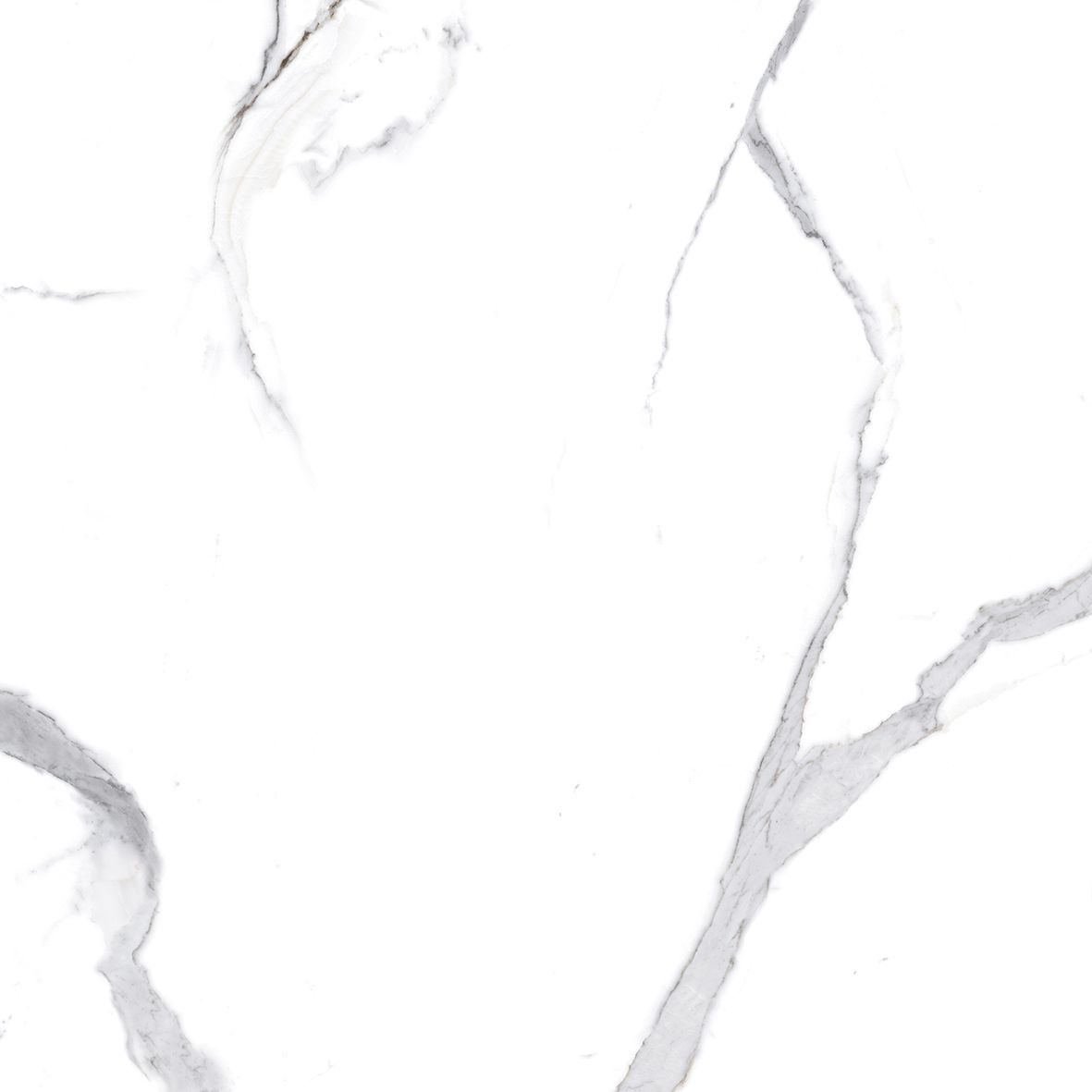 Calacatta Splendid Silver Керамогранит белый 80х80 Полированный