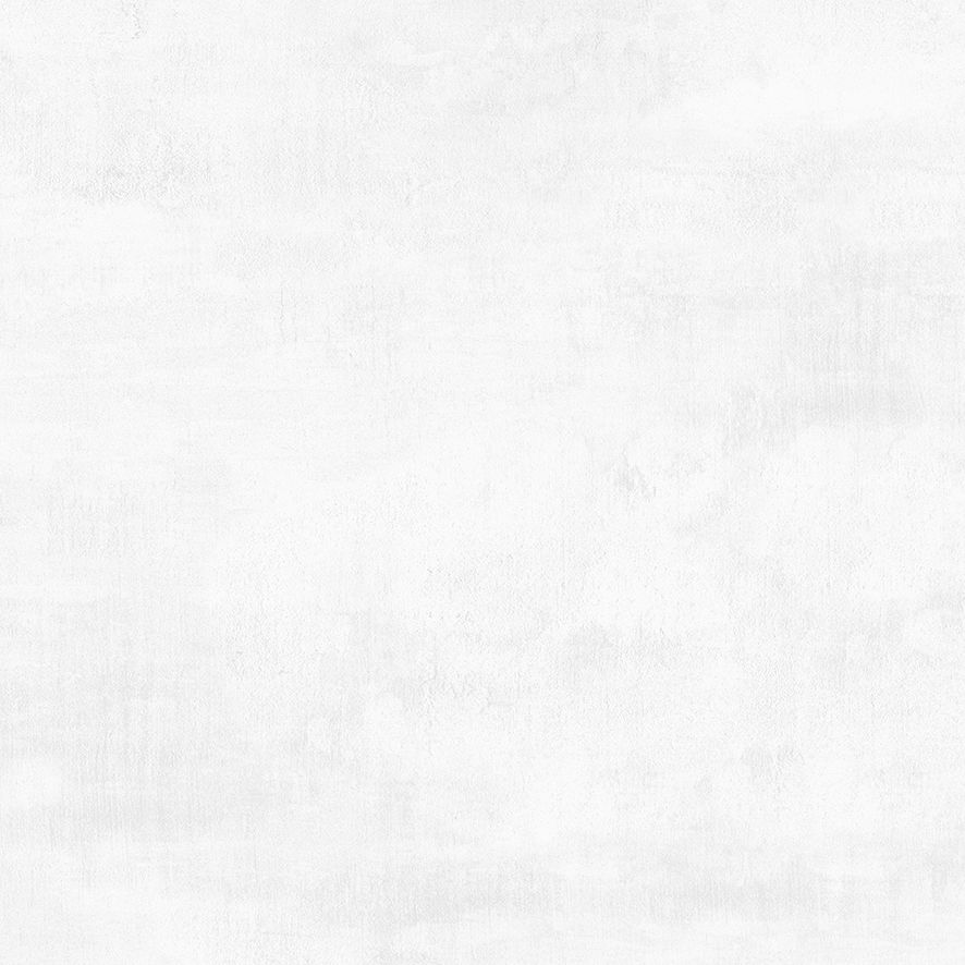 Flagman Керамогранит светло-серый K952736R0001LPET 60x60 (Laparet)