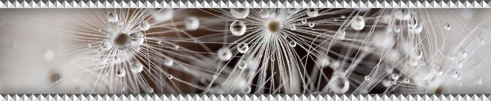 Джерси белый фриз