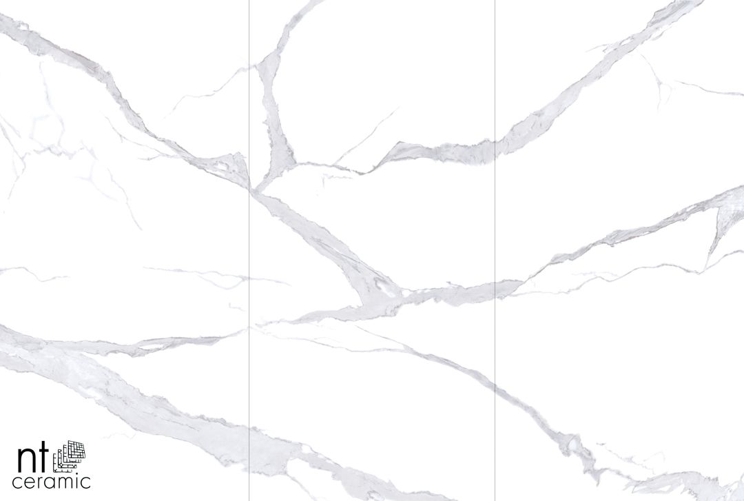 Керамогранит NTT3008P Bianco Statuario 120x240