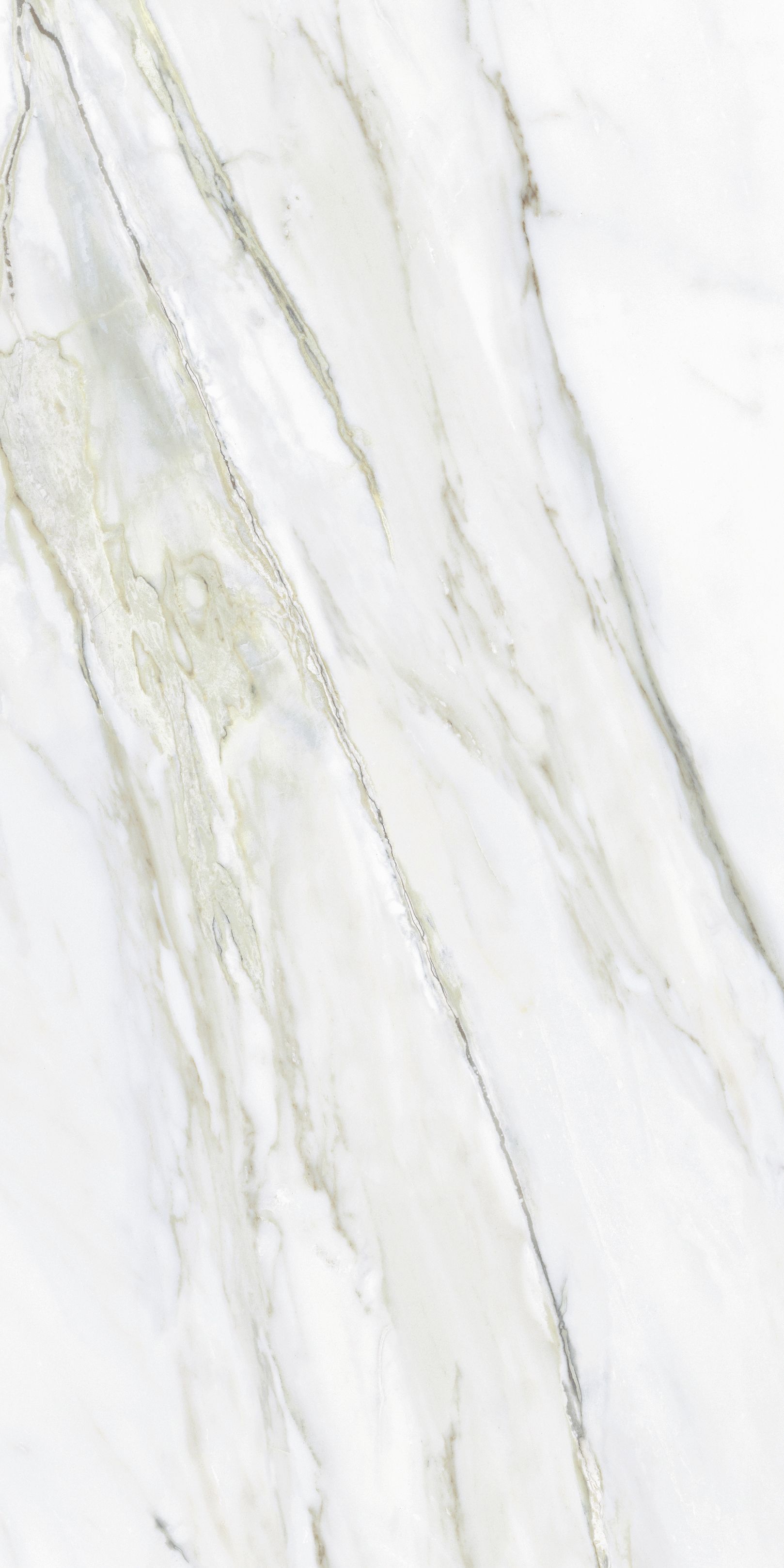 Керамогранит NTT9405DDG Lavarsaz Sitri 60x120