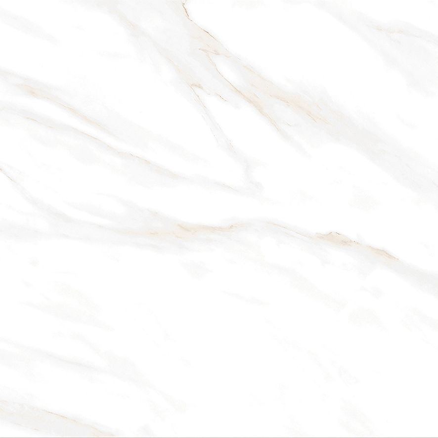Calacatta Clarity Gold Керамогранит белый 60х60 Матовый