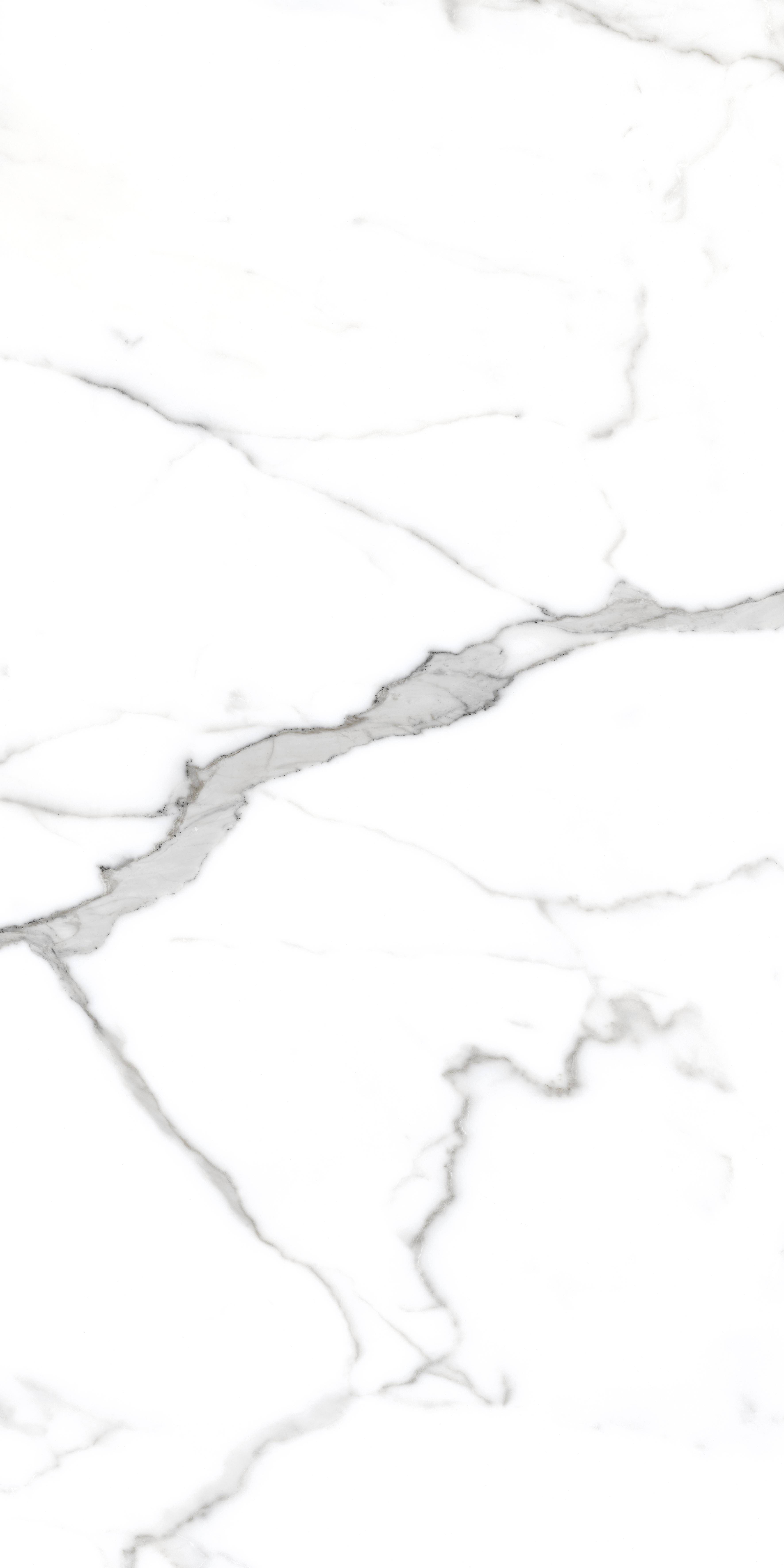 Керамогранит Primavera Salvatore 60x120 см (PR207)