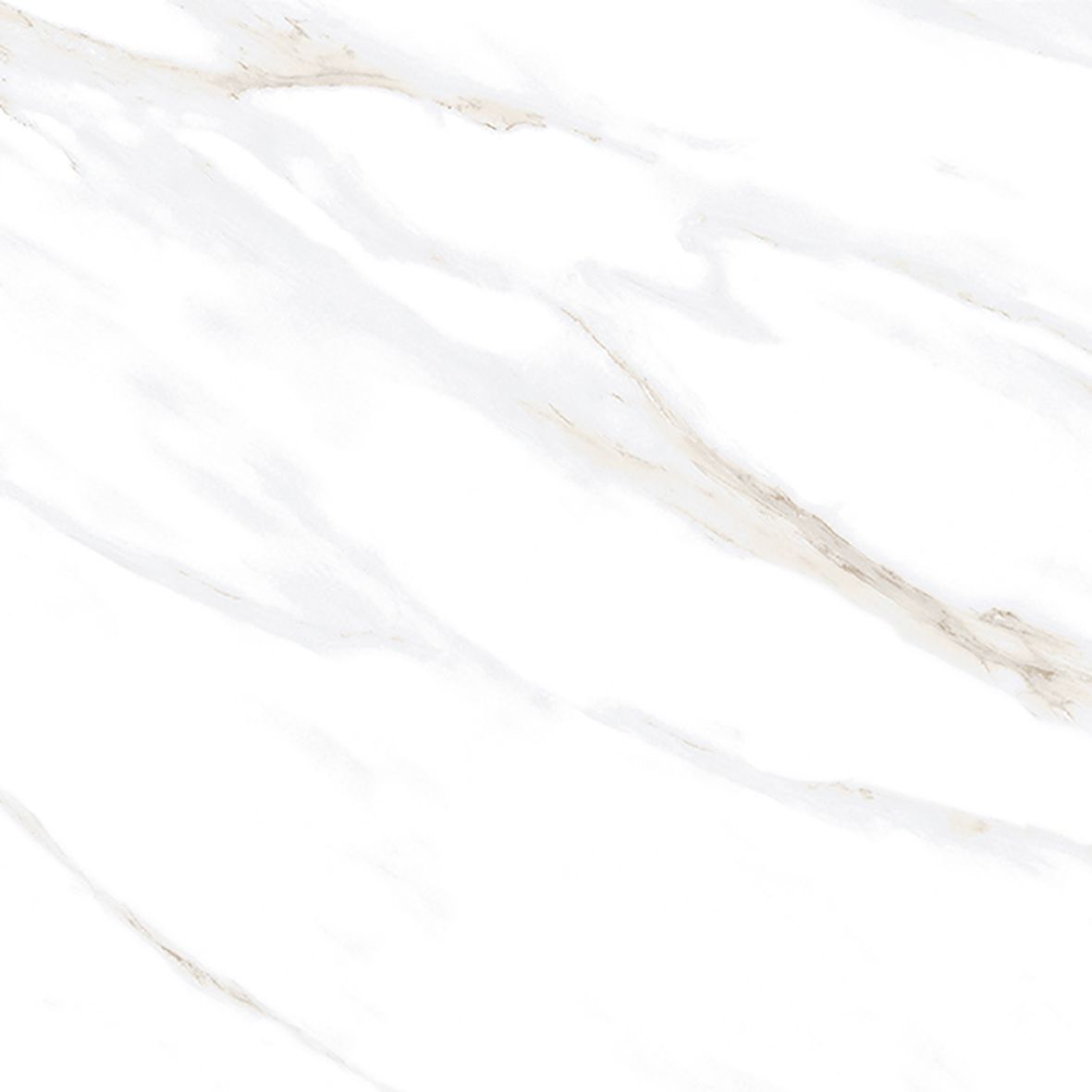 Calacatta Clarity Gold Керамогранит белый 80х80 Матовый