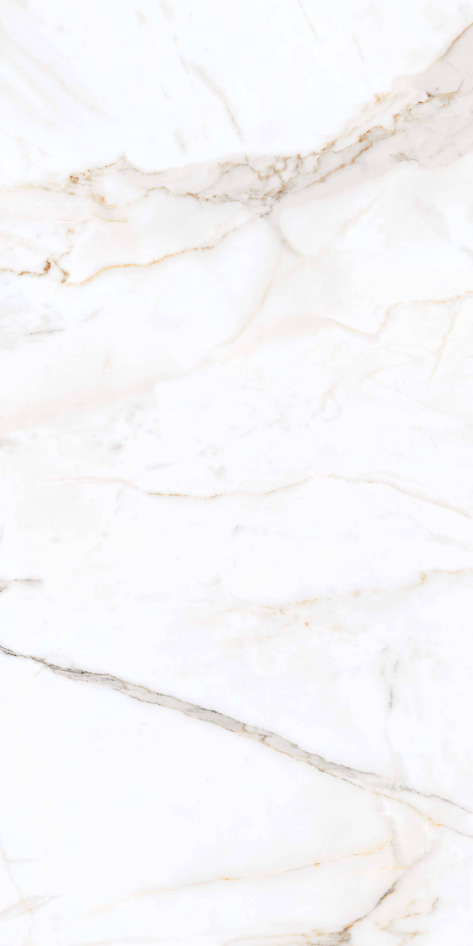 Керамогранит Primavera Regal Carara 60x120 см (PR203)