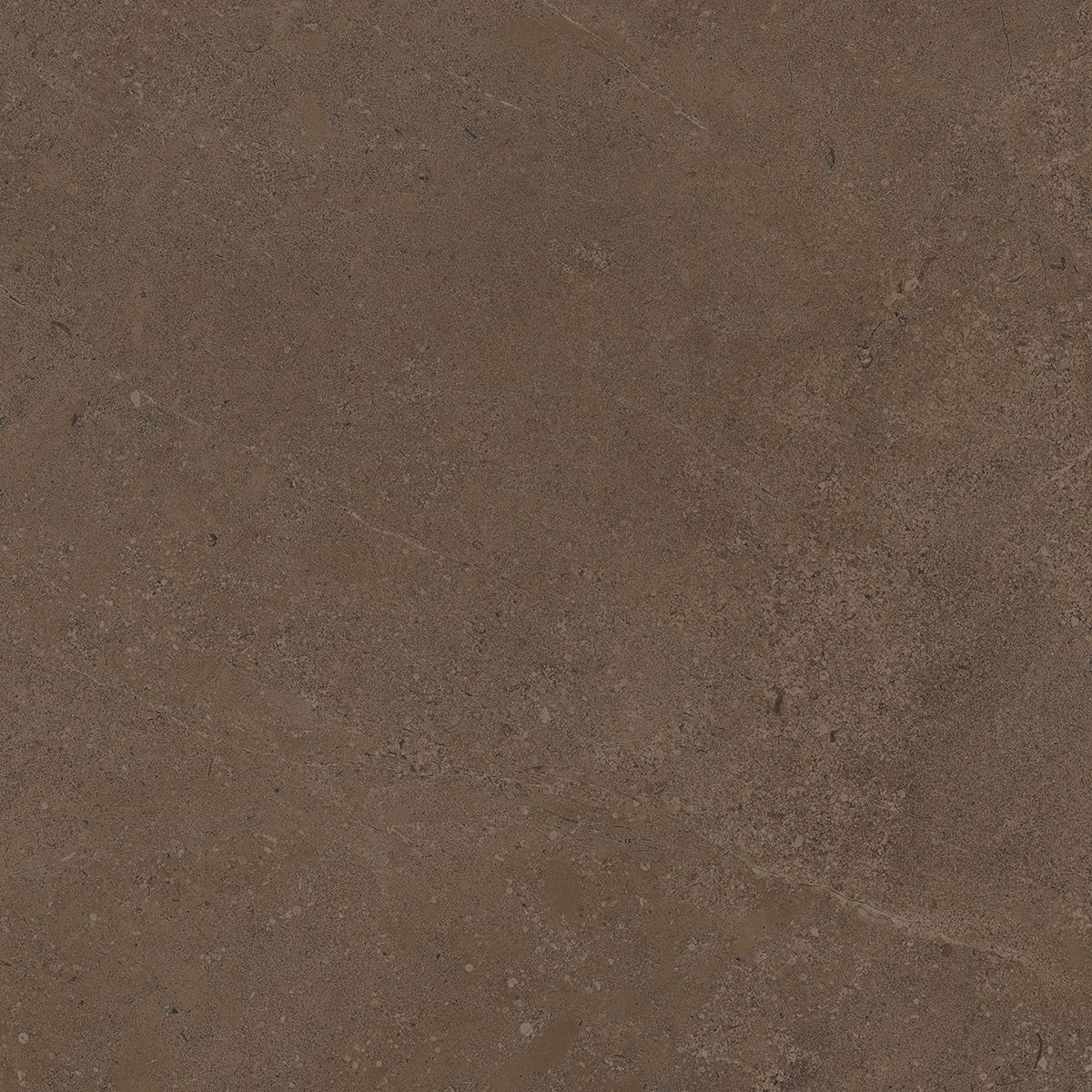 Керамогранит Gobi GO 03 60x60x1 неполированный Коричневый (Estima)