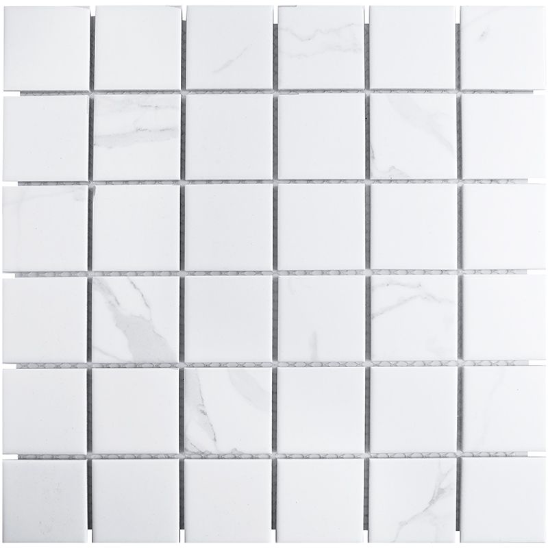 Мозаика Starmosaic Carrara Matt 48х48