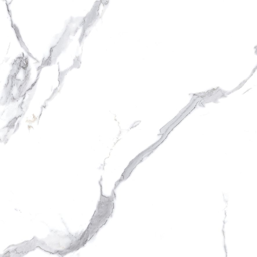 Calacatta Splendid Silver Керамогранит белый 60х60 Матовый