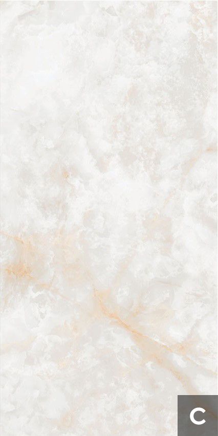 Керамогранит NTT3019P (C) Li Susu Dragon 120x240