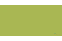 Керамогранит GTF478 Feeria салатовый 120х60