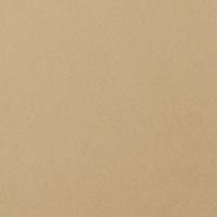 Monocolor CF UF 011 желтый MR 60x60 керамогранит