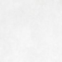 GT60601706MR Плитка грес глаз. Boreal_GT Светло-сер. 60*60 _ 1 \43,2 (Global Tile)