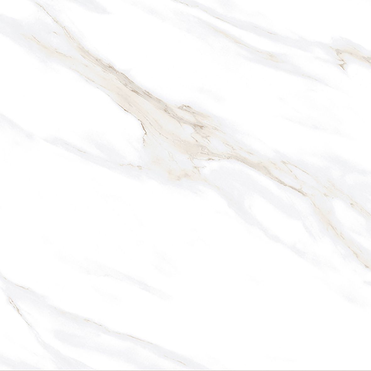 Calacatta Clarity Gold Керамогранит белый 80х80 Матовый