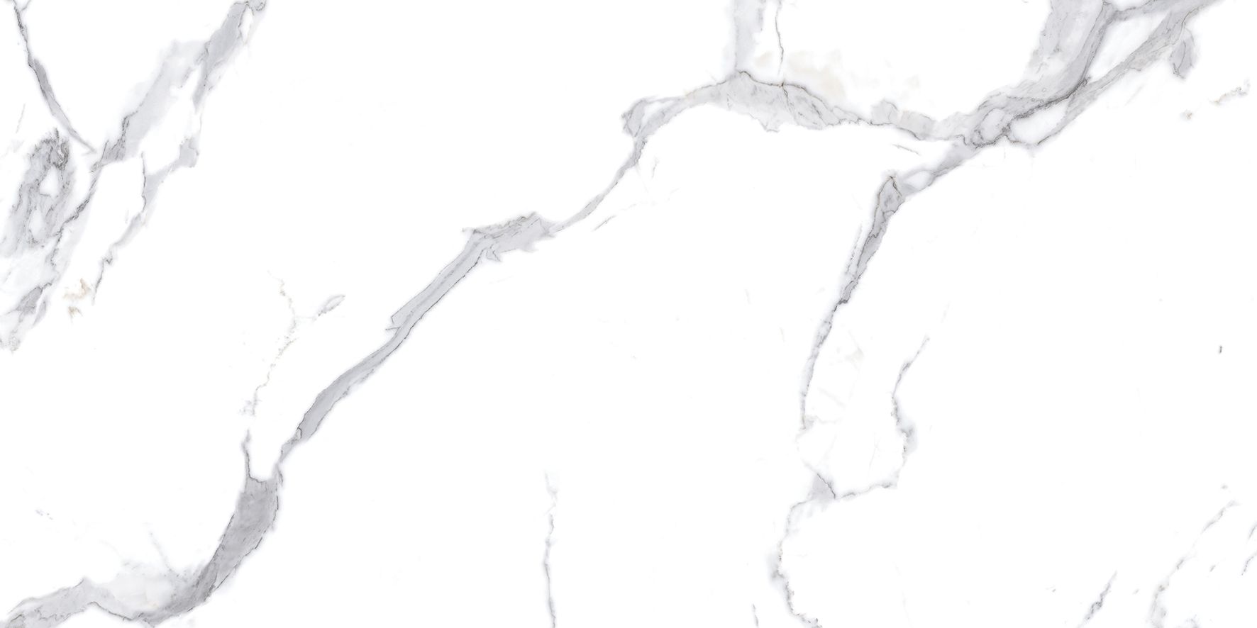 Calacatta Splendid Silver Керамогранит белый 60х120 Матовый