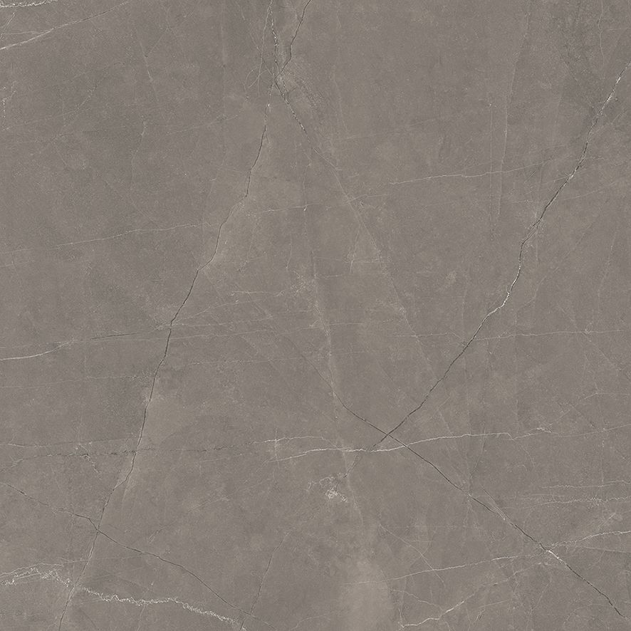 Splash Grey Керамогранит серый 60х60 Сатинированный Карвинг