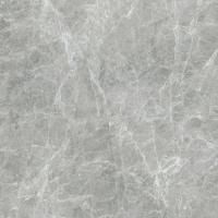 Coliseum Canova Керамогранит Grey 60x60 натуральный