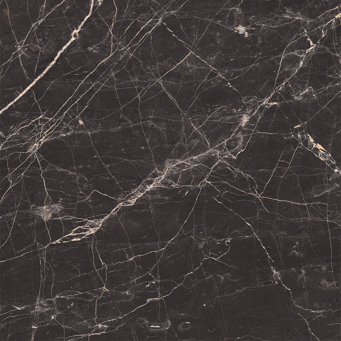 Black Arkadia Керамогранит черный полированный 60х60