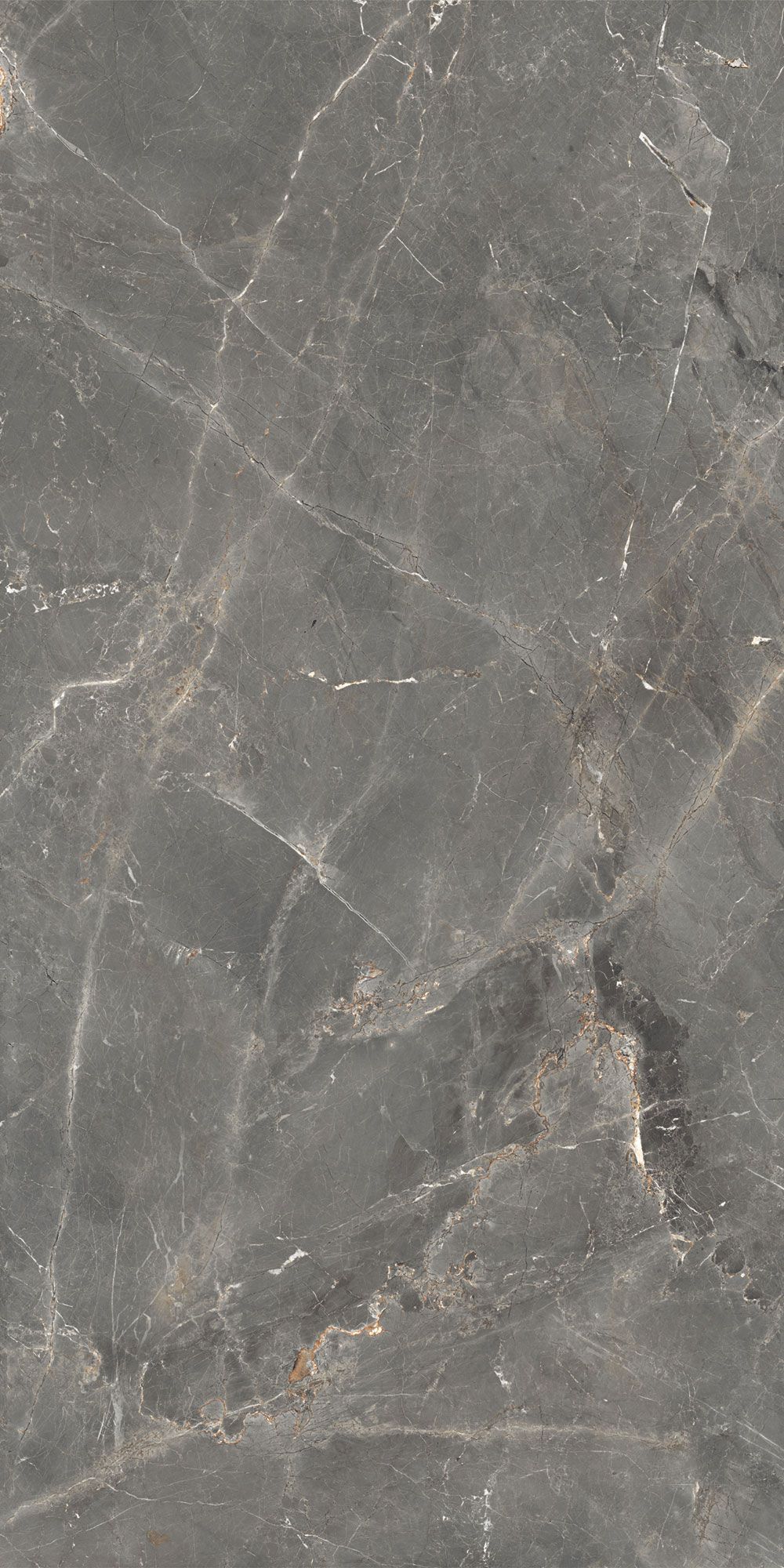 GT1206012109SPR Керамогранит Tulip_GT Темно-сер. 60x120 полир._ 1\46,08 (Global Tile)