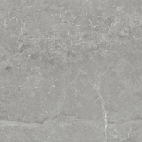 Керамогранит NS6NTT9024L Havana 60x60 (Китай)