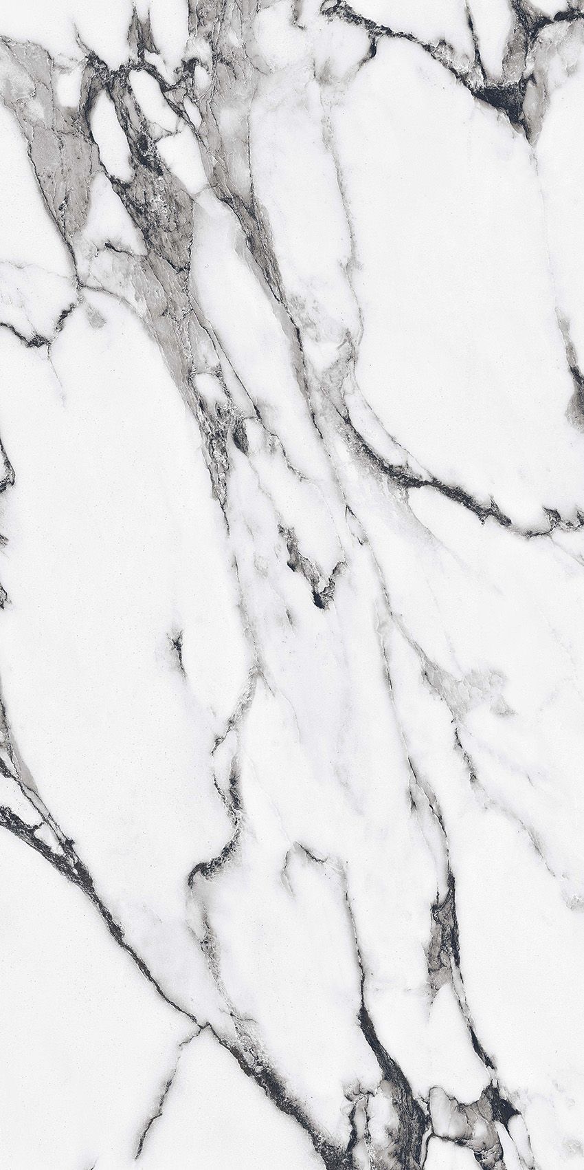 PrimaVera PR226 керамогранит Fantasy Black 60*120см Polished 1,44м2