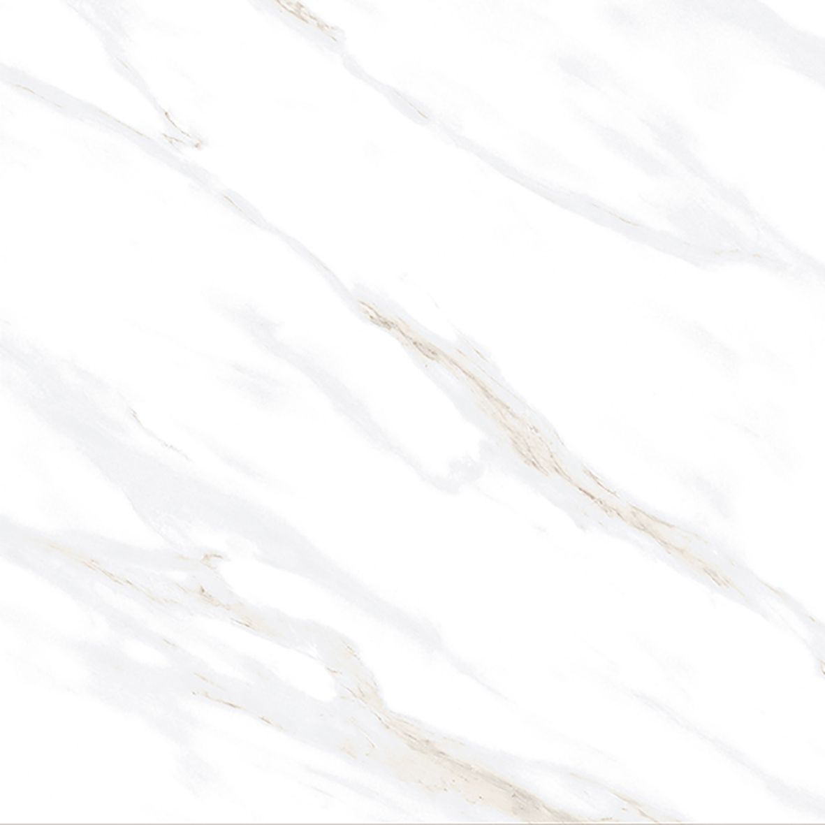 Calacatta Clarity Gold Керамогранит белый 80х80 Полированный