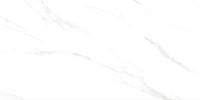 Calacatta Genius Керамогранит белый 60х120 Полированный