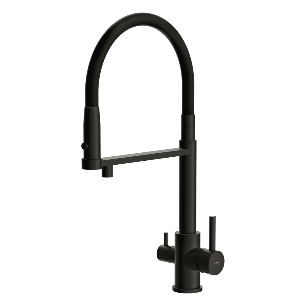 Смеситель для кухни ZEN однорычажный с подключением фильтра с гибким изливом черный