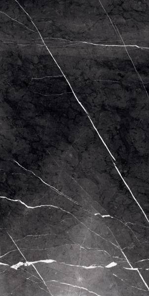 Керамогранит Primavera Fedele Negro 60x120 см (GR203)