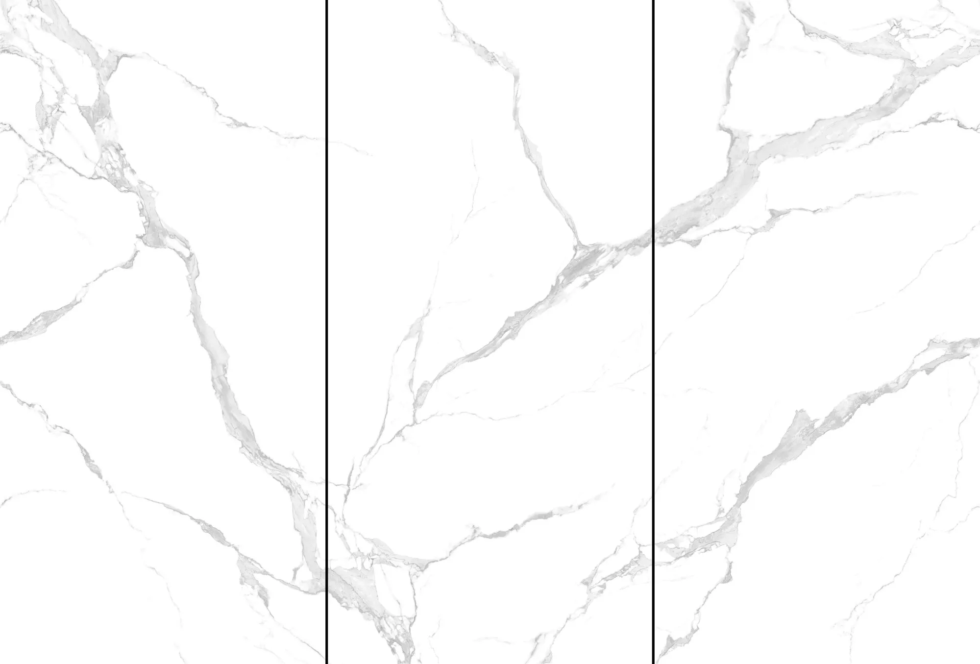 Керамогранит NTT3004P Bianco Carrara 120x240