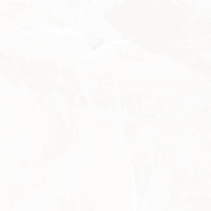 Onyx Hope Керамогранит светло-серый 60х60 Полированный